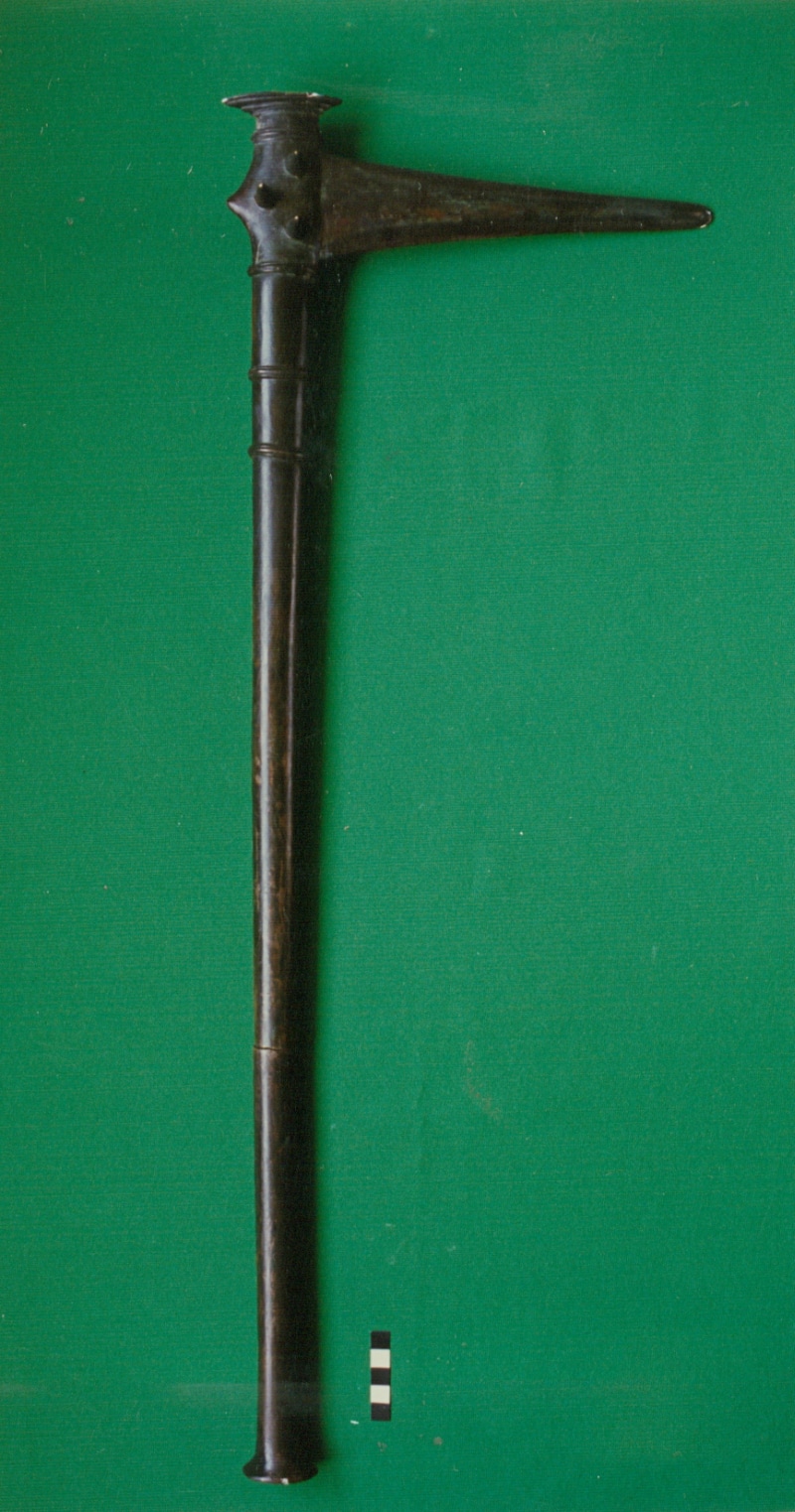ryc 10