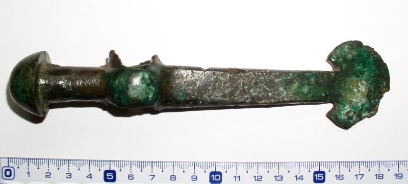 ryc 11