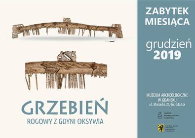 grzebien rogowy z gdyni oksywia