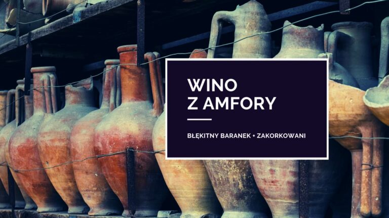 Baner internetowy przedstawia zdjęcie zabytkowych amfor ustawionych jedna obok drugiej na półce. W obramowanym prostokącie znajduje się tekst: WINO Z AMFORY, BŁĘKITNY BARANEK + ZAKROKOWANI.